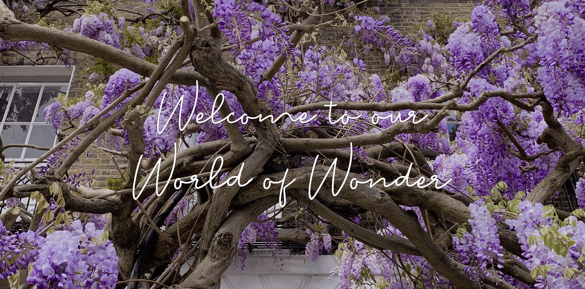 Welcome to our world of wonder Welcome to our world of wonder